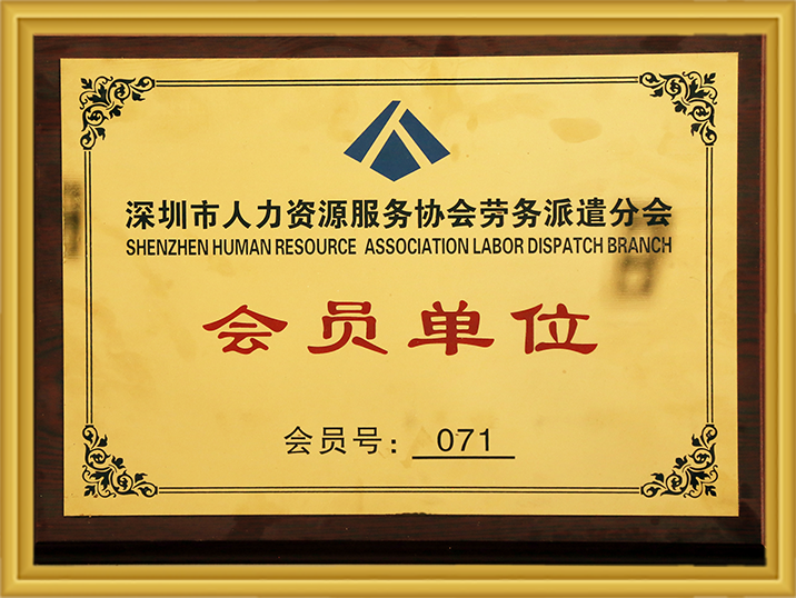 Stake(�й���)�ٷ���վ